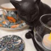 ヒメ日記 2026/01/18 19:02 投稿 みわ 素人妻達☆マイふぇらレディー