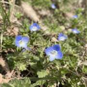 ヒメ日記 2026/03/29 10:18 投稿 みわ 素人妻達☆マイふぇらレディー