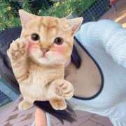 ヒメ日記 2026/01/15 20:46 投稿 月乃かなめ 人妻ジャンキー