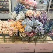 ヒメ日記 2026/01/25 17:51 投稿 りさ ロリ性感と痴女教師 池袋ちんぐり学園