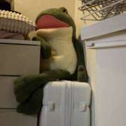 ヒメ日記 2026/02/08 16:27 投稿 ゆめか ハニープラザ（ユメオト）