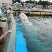 紗香 はじめまして 昼顔妻 五反田店