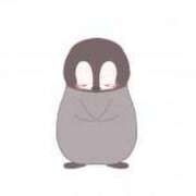 ヒメ日記 2026/01/13 19:46 投稿 リホ マテリアル