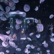 ヒメ日記 2026/01/20 12:01 投稿 リホ マテリアル