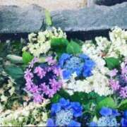 ヒメ日記 2026/01/21 03:46 投稿 リホ マテリアル