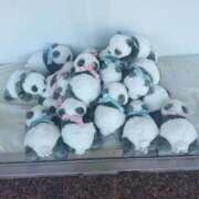 ヒメ日記 2026/01/23 17:31 投稿 リホ マテリアル