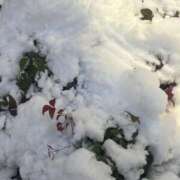 ヒメ日記 2026/02/08 18:16 投稿 リホ マテリアル