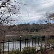 ヒメ日記 2026/02/15 19:31 投稿 リホ マテリアル