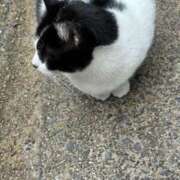 ヒメ日記 2026/02/24 20:01 投稿 リホ マテリアル