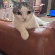 ヒメ日記 2026/01/24 15:04 投稿 りの 西川口前立腺研究所