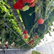 ヒメ日記 2026/02/24 21:04 投稿 りの 西川口前立腺研究所