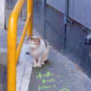 ヒメ日記 2026/03/20 14:57 投稿 小森　さえ 現役ナースが精液採取に伺います 梅田店