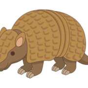 ヒメ日記 2026/01/16 22:28 投稿 高岡みゆき イエスグループ熊本 華女