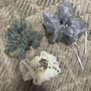 ヒメ日記 2026/01/17 10:17 投稿 高岡みゆき イエスグループ熊本 華女