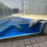 ヒメ日記 2026/01/17 21:57 投稿 高岡みゆき イエスグループ熊本 華女