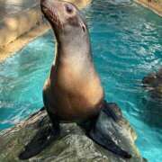 ヒメ日記 2026/01/18 17:03 投稿 高岡みゆき イエスグループ熊本 華女