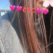 ヒメ日記 2026/02/02 15:31 投稿 矢野ともこ MADAM