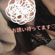 ヒメ日記 2026/02/16 13:31 投稿 矢野ともこ MADAM