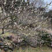 ヒメ日記 2026/02/21 13:46 投稿 矢野ともこ MADAM