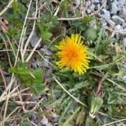 ヒメ日記 2026/03/06 13:46 投稿 矢野ともこ MADAM