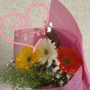 ヒメ日記 2026/04/05 09:46 投稿 矢野ともこ MADAM