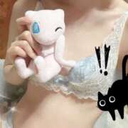 ヒメ日記 2026/02/22 08:42 投稿 むい スピードエコ難波店