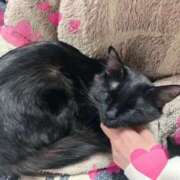 むい むい（エコ難波店） スピードエコ難波店