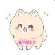 ヒメ日記 2026/02/05 22:18 投稿 らら 静岡駅前ちゃんこ