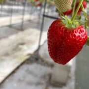 ヒメ日記 2026/02/08 19:28 投稿 らら 静岡駅前ちゃんこ