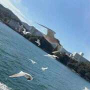 ヒメ日記 2026/04/20 06:48 投稿 らら 静岡駅前ちゃんこ