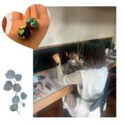 ヒメ日記 2026/02/01 10:37 投稿 なな おクンニ学園 横浜関内校