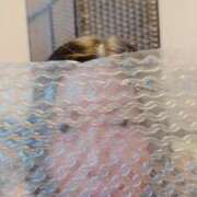 ヒメ日記 2026/01/12 17:13 投稿 霧島　ななせ マダム美林　札幌店