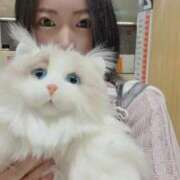 ヒメ日記 2026/01/21 09:53 投稿 霧島　ななせ マダム美林　札幌店