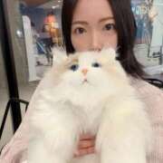 ヒメ日記 2026/01/26 19:13 投稿 霧島　ななせ マダム美林　札幌店