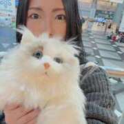 ヒメ日記 2026/02/04 10:13 投稿 霧島　ななせ マダム美林　札幌店