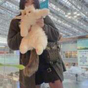 ヒメ日記 2026/02/04 13:13 投稿 霧島　ななせ マダム美林　札幌店