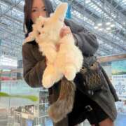 ヒメ日記 2026/02/05 09:43 投稿 霧島　ななせ マダム美林　札幌店