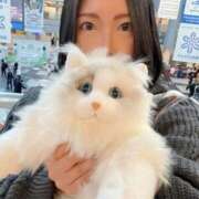 ヒメ日記 2026/02/06 10:03 投稿 霧島　ななせ マダム美林　札幌店