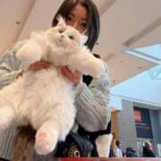 ヒメ日記 2026/02/20 07:43 投稿 霧島　ななせ マダム美林　札幌店