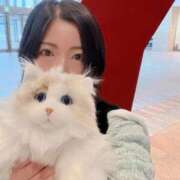 ヒメ日記 2026/02/25 10:33 投稿 霧島　ななせ マダム美林　札幌店