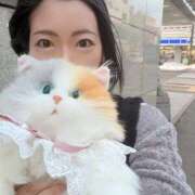 ヒメ日記 2026/03/06 07:43 投稿 霧島　ななせ マダム美林　札幌店