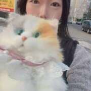 ヒメ日記 2026/03/06 09:53 投稿 霧島　ななせ マダム美林　札幌店