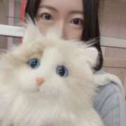 ヒメ日記 2026/03/11 09:13 投稿 霧島　ななせ マダム美林　札幌店