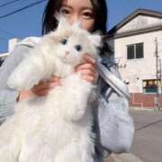 ヒメ日記 2026/03/14 15:23 投稿 霧島　ななせ マダム美林　札幌店