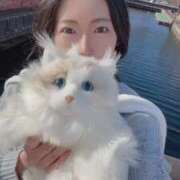 ヒメ日記 2026/03/14 22:13 投稿 霧島　ななせ マダム美林　札幌店