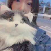 ヒメ日記 2026/04/06 12:03 投稿 霧島　ななせ マダム美林　札幌店