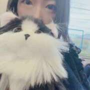 ヒメ日記 2026/04/07 13:13 投稿 霧島　ななせ マダム美林　札幌店