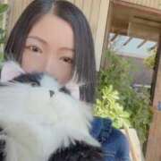 ヒメ日記 2026/04/08 17:13 投稿 霧島　ななせ マダム美林　札幌店