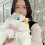 ヒメ日記 2026/04/22 14:13 投稿 霧島　ななせ マダム美林　札幌店