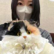 ヒメ日記 2026/04/30 16:13 投稿 霧島　ななせ マダム美林　札幌店